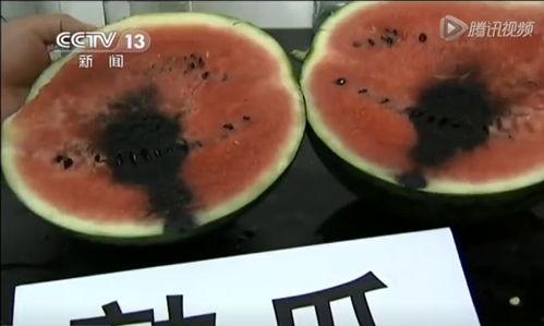 突然反胃吃瓜视频,网友直呼太真实！