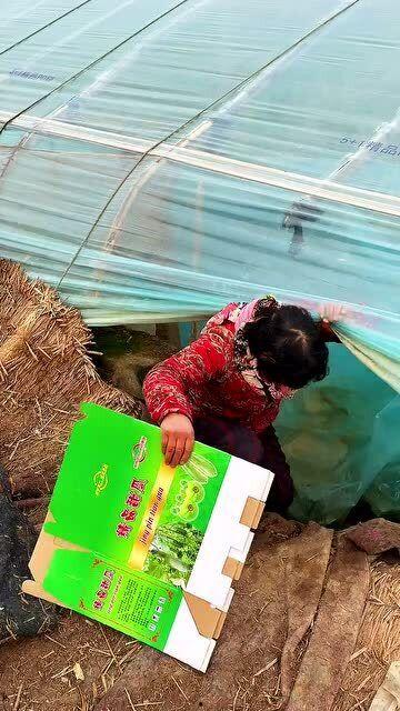 腊月瓜怎么吃,冬日里的美味探索