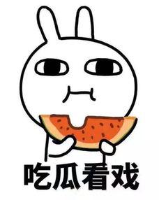 皮皮吃疯了的瓜,揭秘疯狂美食之旅