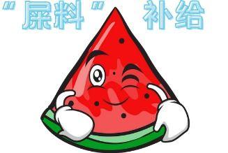 吃瓜型人格,揭秘网络时代下的围观文化现象