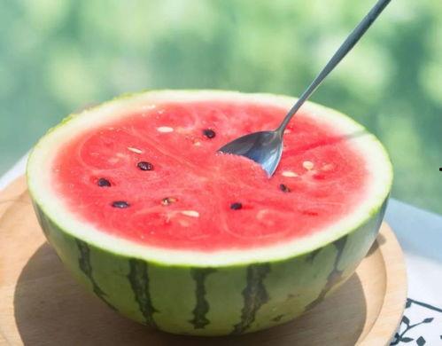 吃瓜一只瓜,网络热词背后的故事与影响