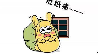 吃瓜群众0455,网络红人的崛起之路