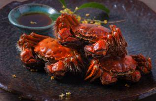 吃大闸蟹后能否吃籽瓜,籽瓜助消化，完美搭配揭秘