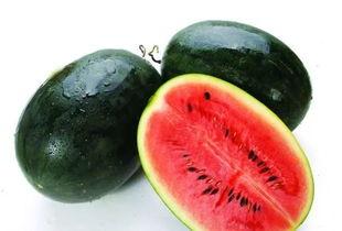 大logo 吃井冈蜜瓜