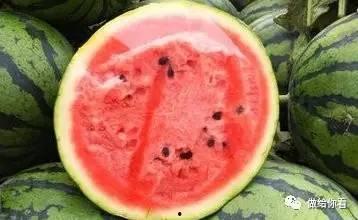 吃瓜很恶心吗,为何有人觉得恶心？