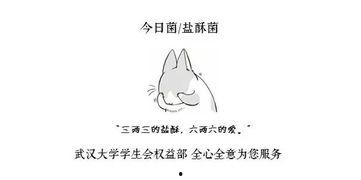 男生说吃瓜吗傻瓜吃吗,揭秘“吃瓜吗傻瓜吃吗”的趣味对话